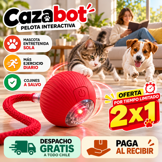 Cazabot - Pelota interactiva - Juega con tu mascota cuando tú no puedes - 2 x 1