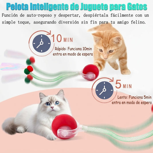 Cazabot - Pelota interactiva - Juega con tu mascota cuando tú no puedes - 2 x 1
