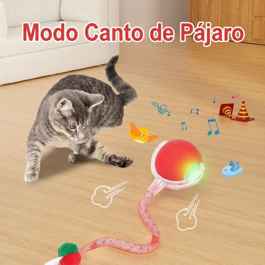 Cazabot - Pelota interactiva - Juega con tu mascota cuando tú no puedes - 2 x 1